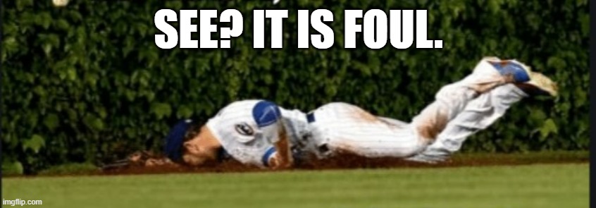 See? I told you it was foul.   - funny - | SEE? IT IS FOUL. | image tagged in sports,funny,baseball,humor,play on words | made w/ Imgflip meme maker