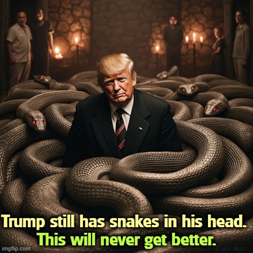 Donald Trump has snakes in his head. This will never change. | Trump still has snakes in his head. This will never get better. | image tagged in donald trump has snakes in his head this will never change,trump,snakes,head,insanity,senile dementia | made w/ Imgflip meme maker