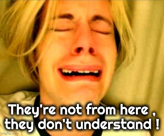 Leave Britney Alone | They're not from here ,
they don't understand ! | image tagged in leave britney alone | made w/ Imgflip meme maker