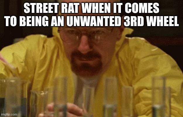I legit feel like this with masq and toady idk why because I know I ain't in the slightest?? | STREET RAT WHEN IT COMES TO BEING AN UNWANTED 3RD WHEEL | image tagged in walter white cooking | made w/ Imgflip meme maker