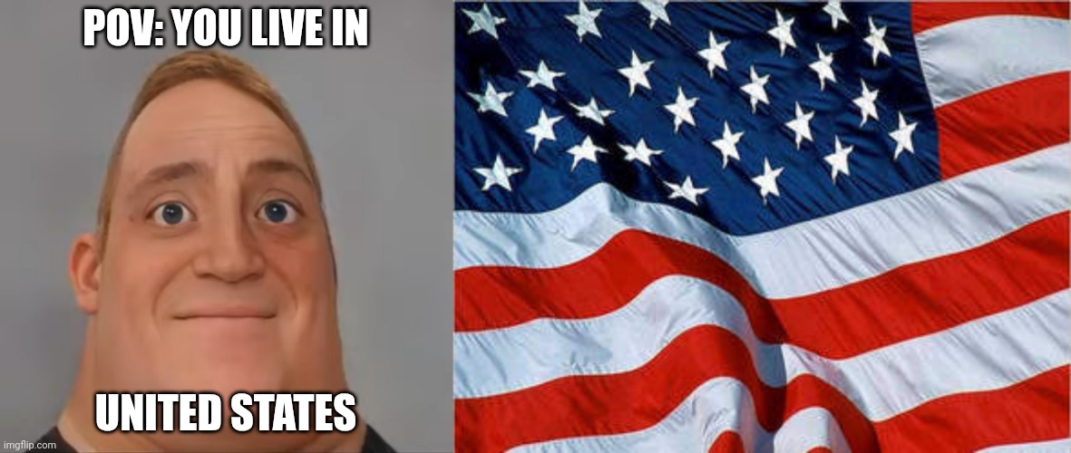 MrDweller becoming Loser: You live in (Part 3) | POV: YOU LIVE IN; UNITED STATES | image tagged in mr incredible realistic,usa flag | made w/ Imgflip meme maker