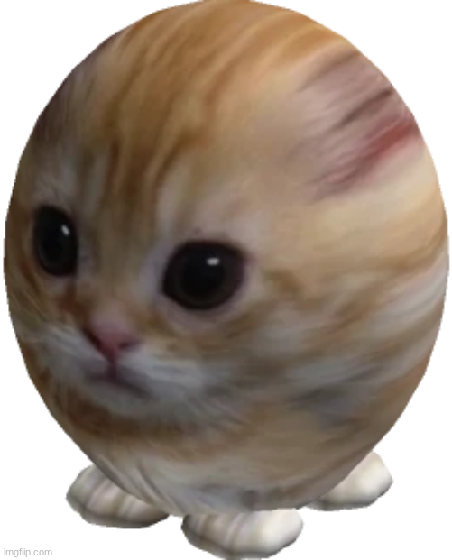 egg gatito Blank Meme Template