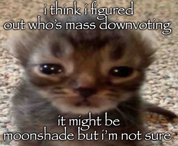 my brain itches | i think i figured out who’s mass downvoting; it might be moonshade but i’m not sure | image tagged in my brain itches | made w/ Imgflip meme maker