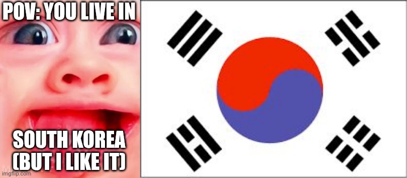 MrDweller becoming Loser: You live in (Part 8) | POV: YOU LIVE IN; SOUTH KOREA (BUT I LIKE IT) | image tagged in mrdweller phase 5,south korean flag | made w/ Imgflip meme maker