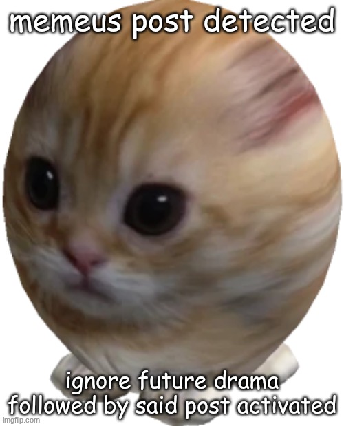 egg gatito | memeus post detected; ignore future drama followed by said post activated | image tagged in egg gatito | made w/ Imgflip meme maker