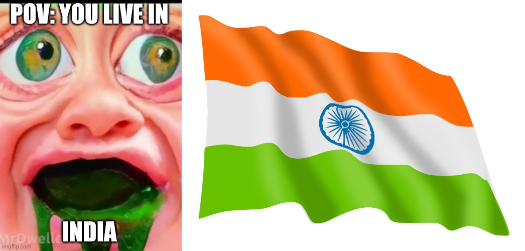MrDweller becoming Loser: You live in (Part 9) | POV: YOU LIVE IN; INDIA | image tagged in mrdweller phase 6,happy republic day | made w/ Imgflip meme maker