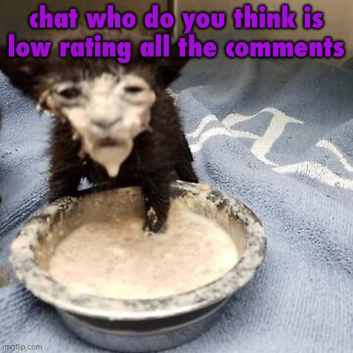 Pie :3 | chat who do you think is low rating all the comments | image tagged in pie 3 | made w/ Imgflip meme maker