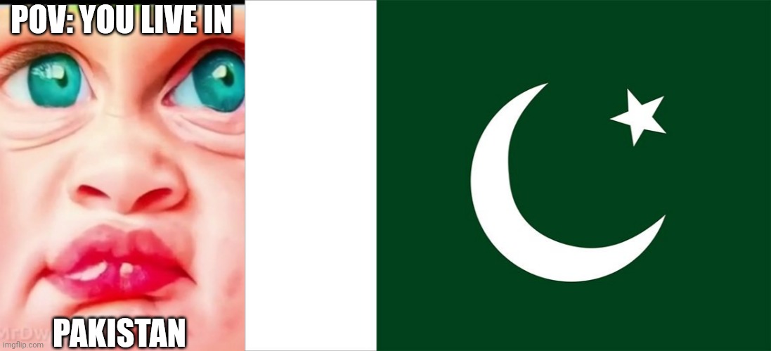 MrDweller becoming Loser: You live in (Part 12) | POV: YOU LIVE IN; PAKISTAN | image tagged in mrdweller phase 7 5,pakistan flag | made w/ Imgflip meme maker