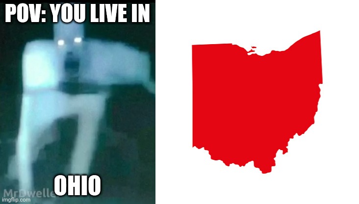 MrDweller becoming Loser: You live in (Part 14) | POV: YOU LIVE IN; OHIO | image tagged in mrdweller phase 8,ohio meme | made w/ Imgflip meme maker