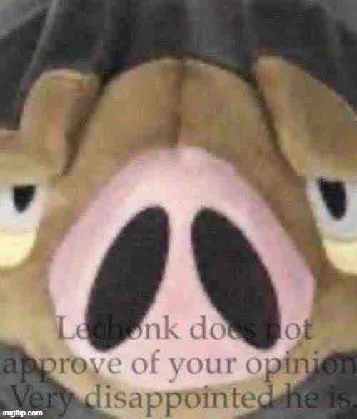 Lechonk does not approve | image tagged in lechonk does not approve | made w/ Imgflip meme maker