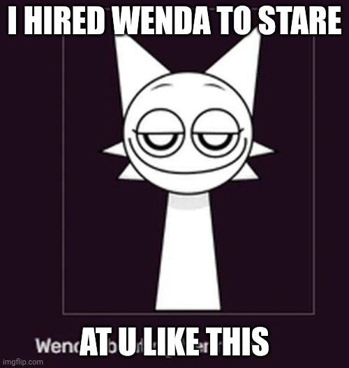 Smug ahh look | I HIRED WENDA TO STARE; AT U LIKE THIS | image tagged in smug ahh look | made w/ Imgflip meme maker