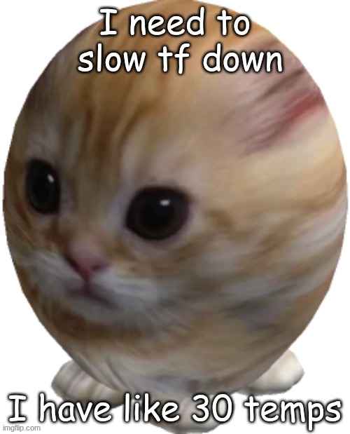 egg gatito | I need to  slow tf down; I have like 30 temps | image tagged in egg gatito | made w/ Imgflip meme maker