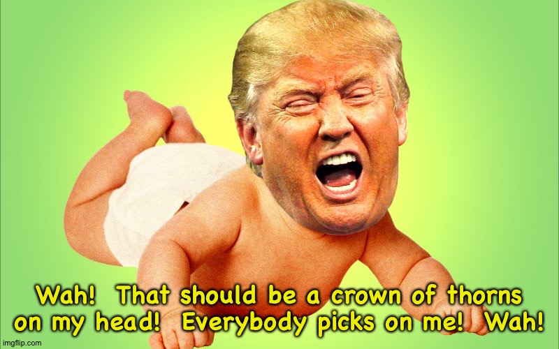 Baby Trump | Wah!  That should be a crown of thorns on my head!  Everybody picks on me!  Wah! | image tagged in baby trump | made w/ Imgflip meme maker