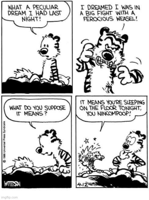 Some people sleepwalk, others dream they’re fighting ferocious weasels… | image tagged in calvin and hobbes,comics,dream | made w/ Imgflip meme maker