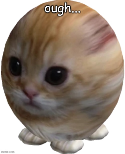 egg gatito | ough... | image tagged in egg gatito | made w/ Imgflip meme maker