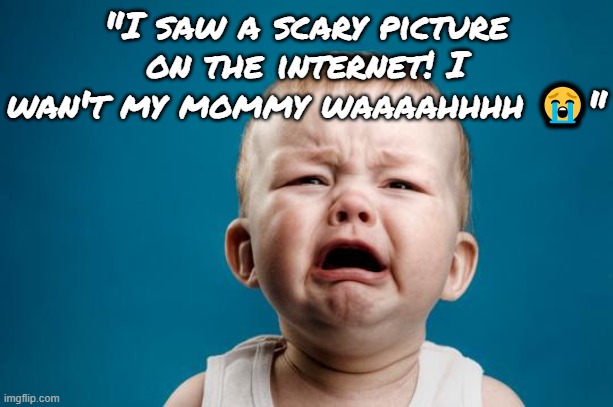BABY CRYING | "I saw a scary picture on the internet! I wan't my mommy waaaahhhh 😭" | image tagged in baby crying | made w/ Imgflip meme maker