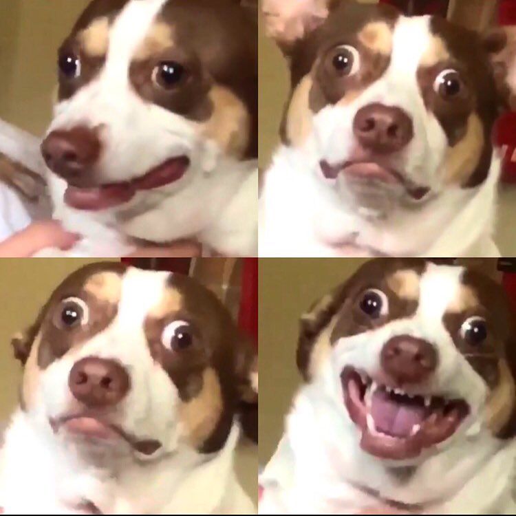 the look on your face Blank Meme Template