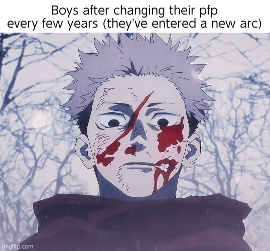 ほ | Boys after changing their pfp every few years (they've entered a new arc) | image tagged in yuji itadori | made w/ Imgflip meme maker