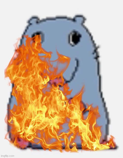 Stupid rat | image tagged in stupid rat | made w/ Imgflip meme maker