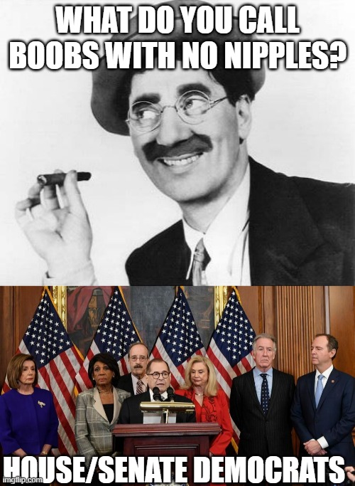 Cheap joke I came up with. | WHAT DO YOU CALL BOOBS WITH NO NIPPLES? HOUSE/SENATE DEMOCRATS | image tagged in groucho marx,house democrats,political meme,political humor,meme | made w/ Imgflip meme maker
