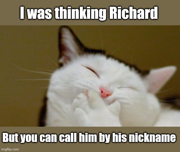 Laughing Cat | I was thinking Richard But you can call him by his nickname | image tagged in laughing cat | made w/ Imgflip meme maker