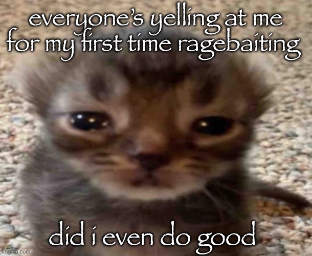my brain itches | everyone’s yelling at me for my first time ragebaiting; did i even do good | image tagged in my brain itches | made w/ Imgflip meme maker