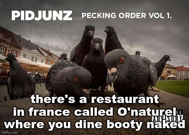 PIDJUNZ: Pecking Order Vol 1. | there's a restaurant in france called O'naturel where you dine booty naked | image tagged in pidjunz pecking order vol 1 | made w/ Imgflip meme maker