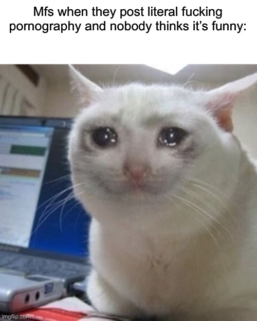 Crying cat | Mfs when they post literal fucking pornography and nobody thinks it’s funny: | image tagged in crying cat | made w/ Imgflip meme maker