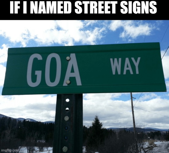 If I Named Street Signs | IF I NAMED STREET SIGNS | image tagged in chris joines | made w/ Imgflip meme maker