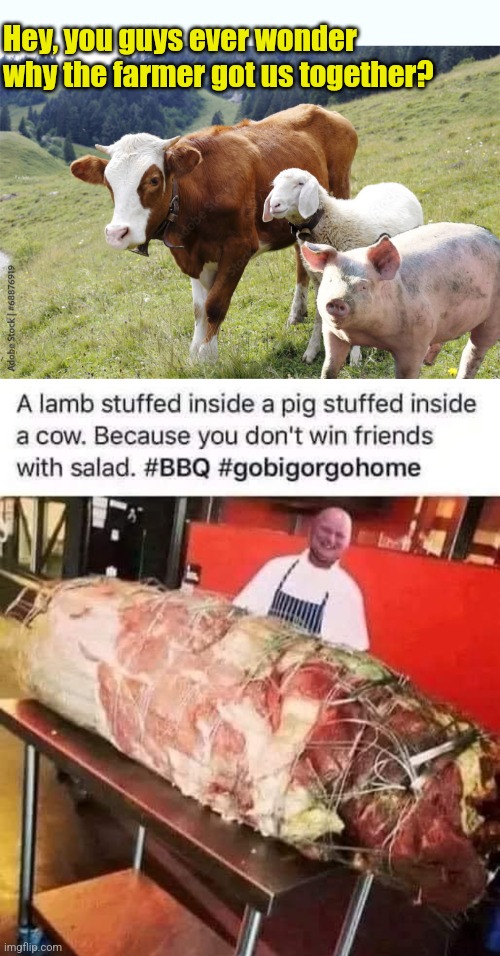 A vegan's worst nightmare | Hey, you guys ever wonder why the farmer got us together? | image tagged in beef,pork,lamb,looks like meat's back on the menu boys,vegans | made w/ Imgflip meme maker