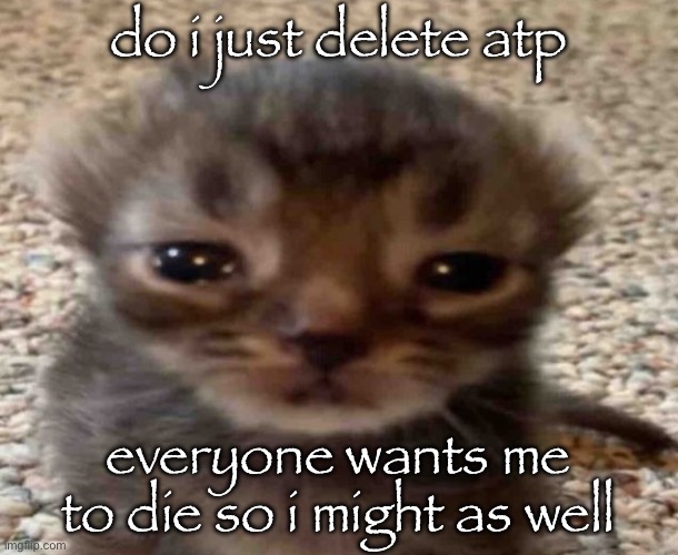 all i did was post a single softcore porn image as a joke | do i just delete atp; everyone wants me to die so i might as well | image tagged in my brain itches | made w/ Imgflip meme maker