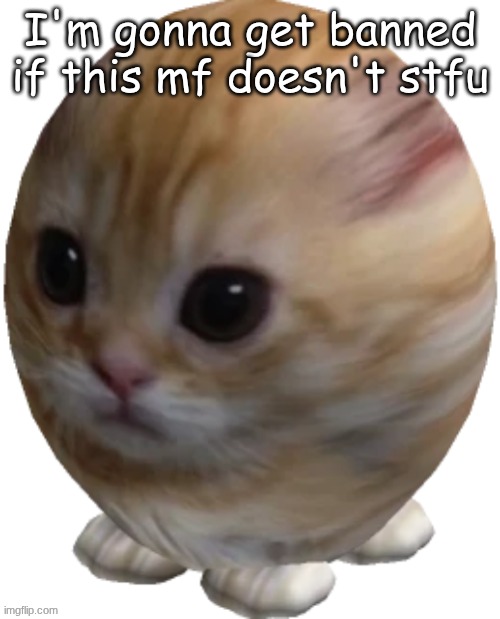 gay and overprotective third wheel | I'm gonna get banned if this mf doesn't stfu | image tagged in egg gatito | made w/ Imgflip meme maker