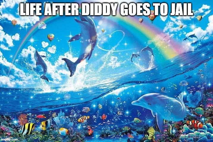 Happy dolphin rainbow | LIFE AFTER DIDDY GOES TO JAIL | image tagged in happy dolphin rainbow | made w/ Imgflip meme maker