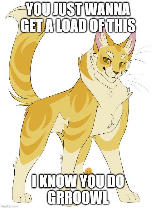 Sexy cat | YOU JUST WANNA GET A LOAD OF THIS; I KNOW YOU DO
GRROOWL | image tagged in cats,cute | made w/ Imgflip meme maker