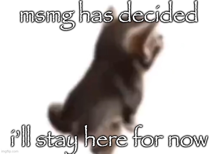 Side el gatito | msmg has decided; i’ll stay here for now | image tagged in side el gatito | made w/ Imgflip meme maker