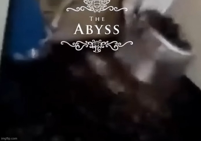 image tagged in shitpost,hollow knight | made w/ Imgflip meme maker