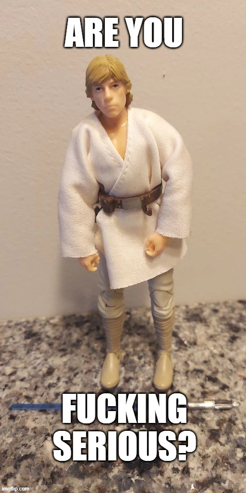 Luke Has Had It | ARE YOU; FUCKING SERIOUS? | image tagged in luke skywalker,star wars,action figues | made w/ Imgflip meme maker