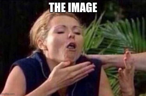 About to Puke | THE IMAGE | image tagged in about to puke | made w/ Imgflip meme maker