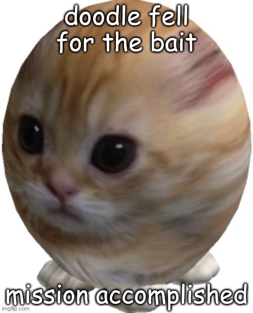 at least one person fell for it | doodle fell for the bait; mission accomplished | image tagged in egg gatito | made w/ Imgflip meme maker