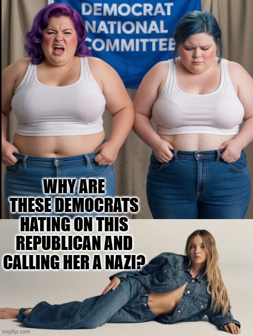 Why the hate? | WHY ARE THESE DEMOCRATS HATING ON THIS REPUBLICAN AND CALLING HER A NAZI? | image tagged in party of hate | made w/ Imgflip meme maker