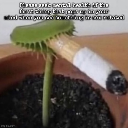 plant weeds | Please seek mental health if the first thing that pops up in your mind when you see something is sex related | image tagged in plant weeds,msmg | made w/ Imgflip meme maker