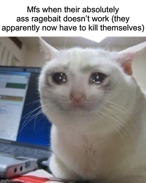 Crying cat | Mfs when their absolutely ass ragebait doesn’t work (they apparently now have to kill themselves) | image tagged in crying cat,msmg | made w/ Imgflip meme maker