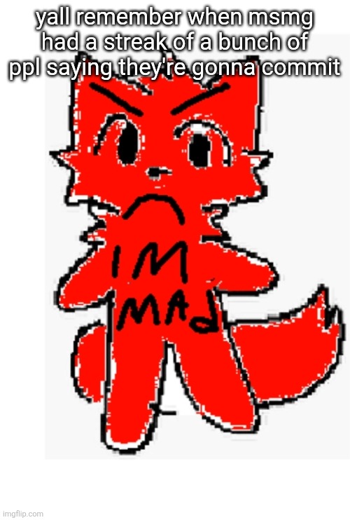 im mad | yall remember when msmg had a streak of a bunch of ppl saying they're gonna commit | image tagged in im mad | made w/ Imgflip meme maker