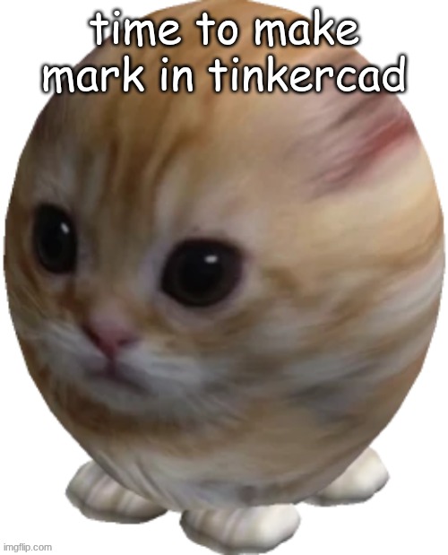 egg gatito | time to make mark in tinkercad | image tagged in egg gatito | made w/ Imgflip meme maker