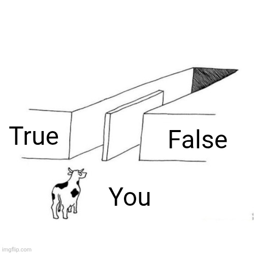The illusion of free choice blank | True False You | image tagged in the illusion of free choice blank | made w/ Imgflip meme maker