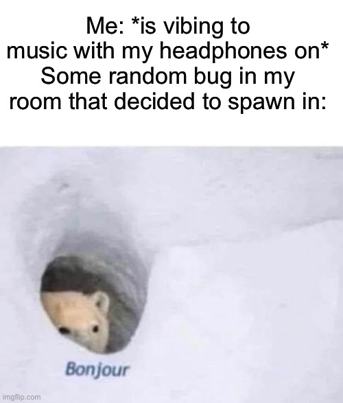 I swear like why tf does it only happen when I have them on | Me: *is vibing to music with my headphones on*
Some random bug in my room that decided to spawn in: | image tagged in bonjour | made w/ Imgflip meme maker