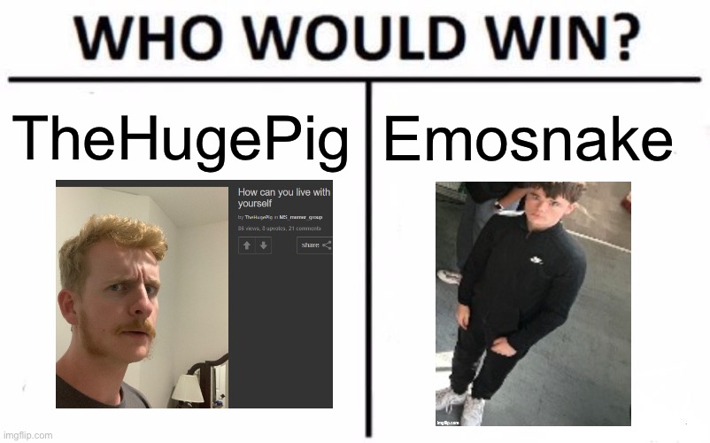 Physical fight without any weapons | TheHugePig; Emosnake | image tagged in who would win,msmg | made w/ Imgflip meme maker