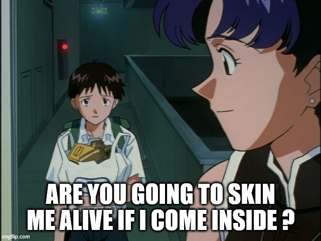 Skin Me Alive | ARE YOU GOING TO SKIN ME ALIVE IF I COME INSIDE ? | image tagged in shinji and misato,skin me alive | made w/ Imgflip meme maker