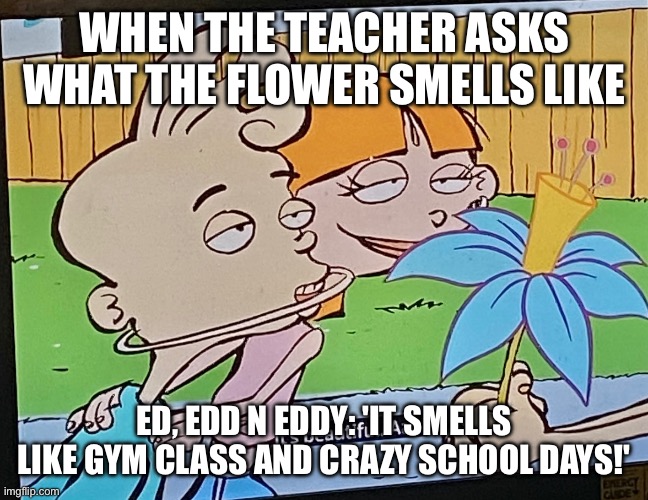 Crazy gym days | WHEN THE TEACHER ASKS WHAT THE FLOWER SMELLS LIKE; ED, EDD N EDDY: 'IT SMELLS LIKE GYM CLASS AND CRAZY SCHOOL DAYS!' | image tagged in what does this flower really smell like to you,ed edd n eddy,gym memes,teacher,gym class,school meme | made w/ Imgflip meme maker