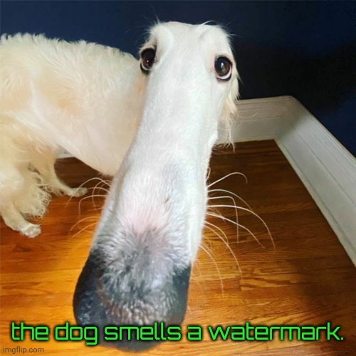 Let me do it for you... | the dog smells a watermark. | image tagged in let me do it for you | made w/ Imgflip meme maker